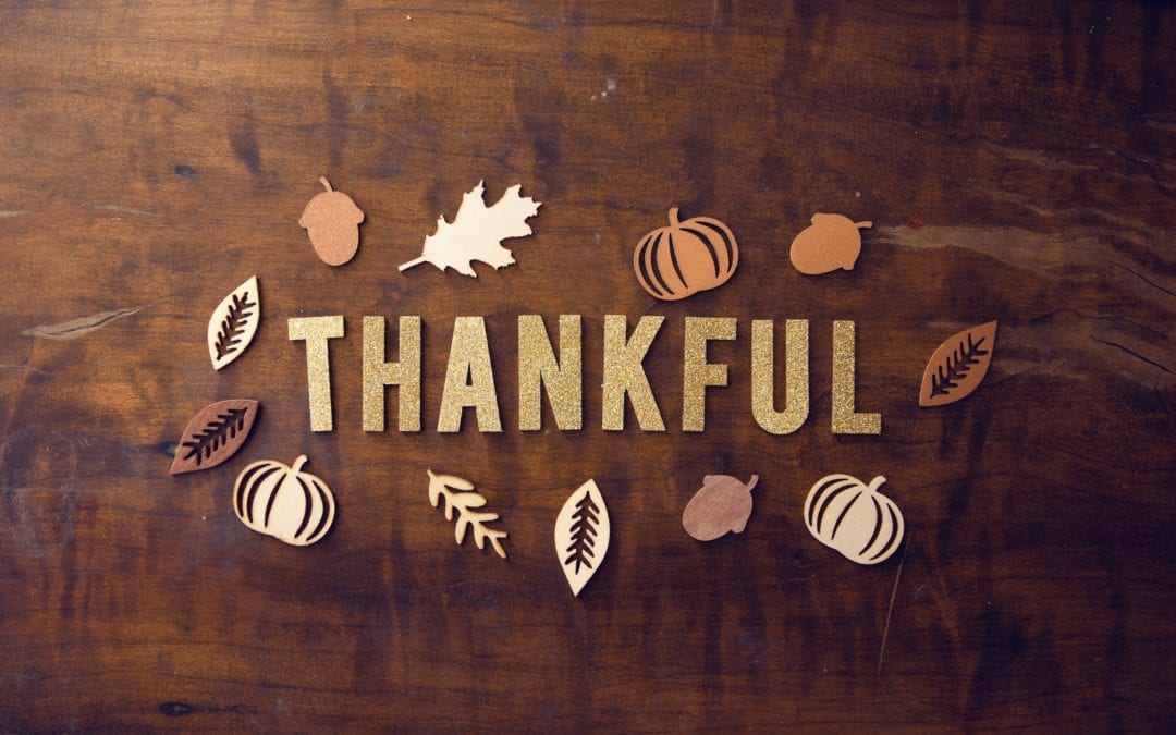 This Thanksgiving…